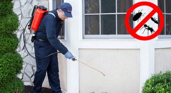 Gümüşova Gümüşkurt İlaçlama böcek ilaçlama ve haşere kontrolü — ilaclama-tr.com